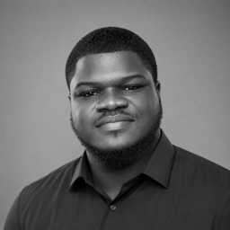 Philip Ogboh, Founder & Lead Developer